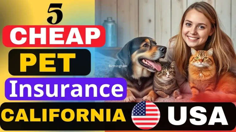 Best 5 cheap auto insurance California
