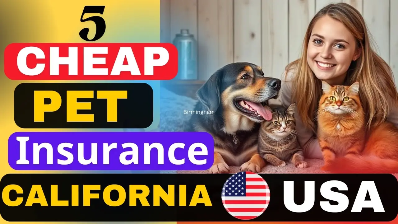 Best 5 cheap auto insurance California