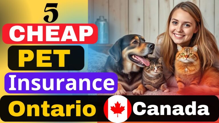 Pet Insurance Ontario