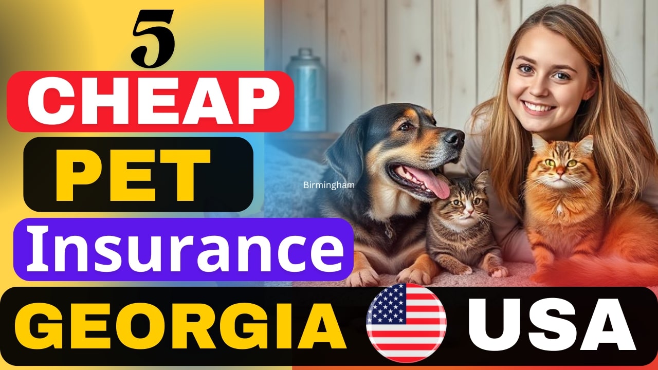 Cheap Pet Insurance Georgia(5)